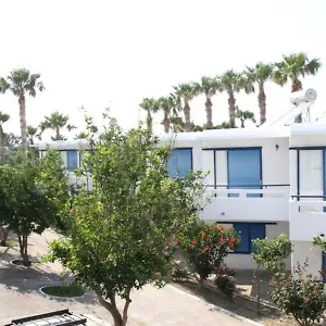 Oasis 2*